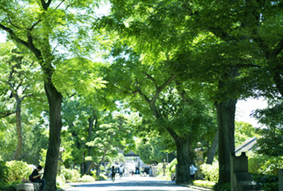 近隣公園、大規模公園